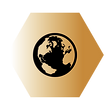 hexagon wix icons yellow (4).png